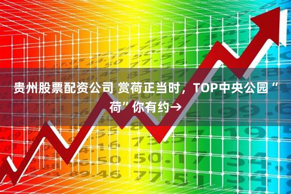 贵州股票配资公司 赏荷正当时，TOP中央公园“荷”你有约→