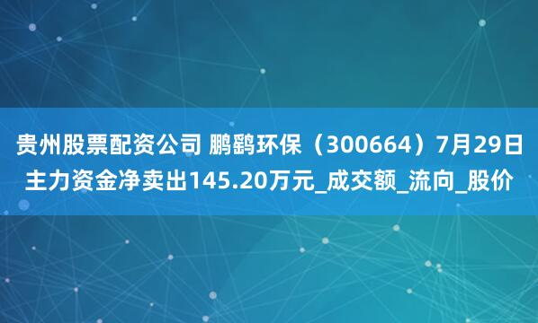 贵州股票配资公司 鹏鹞环保（300664）7月29日主力资金净卖出145.20万元_成交额_流向_股价